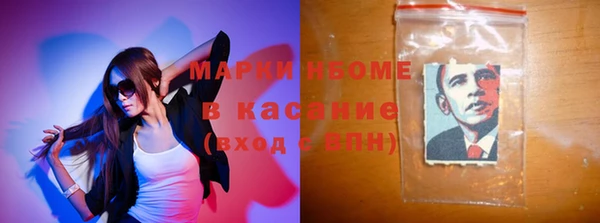 хмурый Алексин