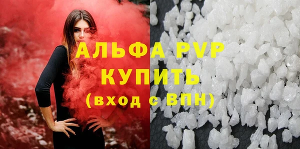 хмурый Алексин