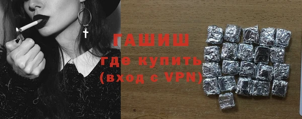 хмурый Алексин