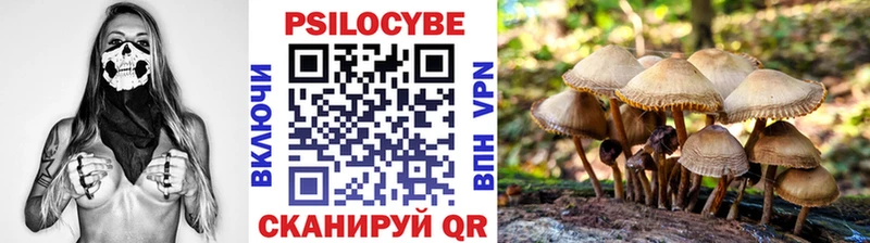 Псилоцибиновые грибы Cubensis  наркотики  Апрелевка 